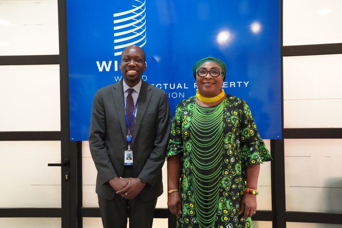 DG NOTAP, DR AMADIOBI CALLS FOR STRONGER COLLABORATION WITH WIPO ONINTELLECTUAL PROPERTY(IP) DEVELOPMENT IN NIGERIA