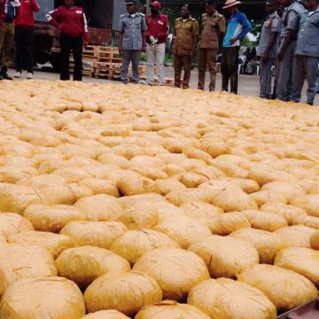 Customs Intercepts N57.6 Million Worth of Cannabis in Kwara