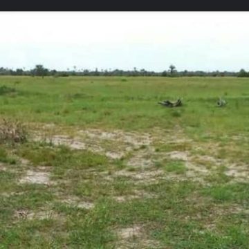 . NEWLY OUT DISTRESS SALE. 100 Hectares Land For Outright Purchase.