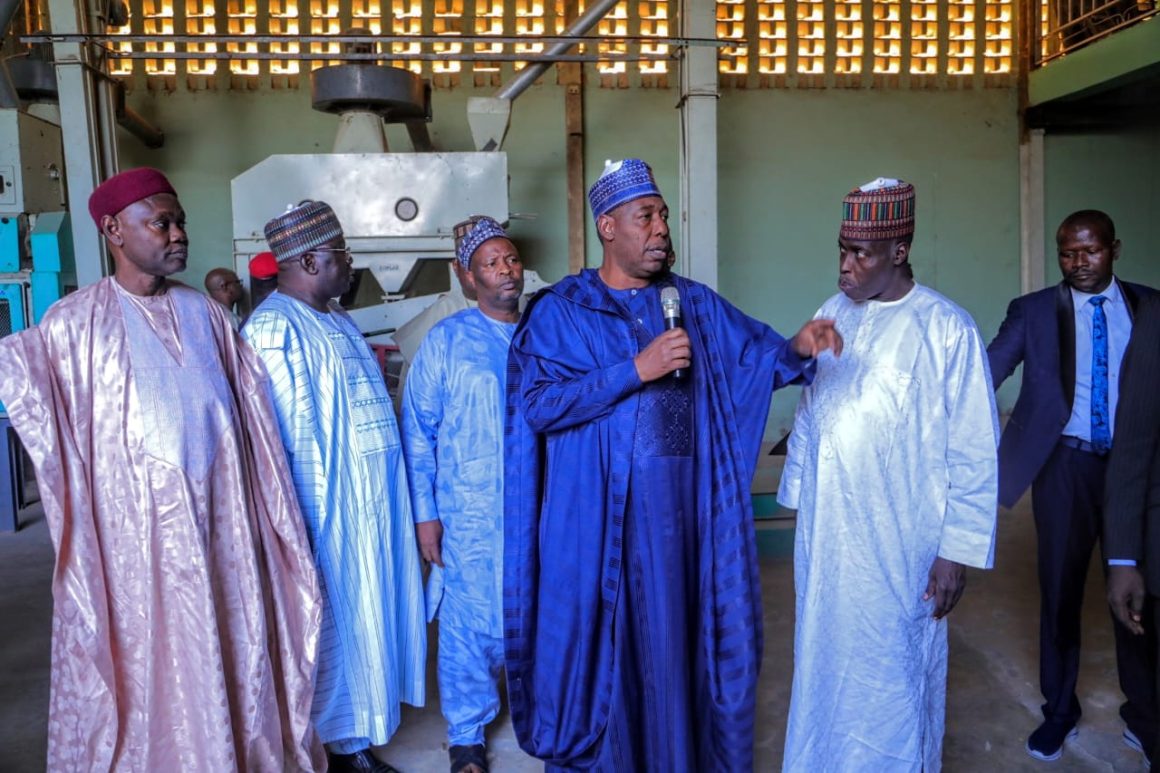 Gov Zulum vows to support small and medium enterprises in Borno